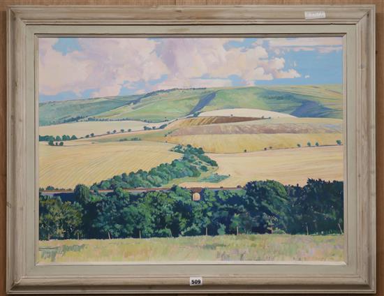 Richard P. Cook, oil on canvas, Sussex Downs, signed, 56 x 77cm